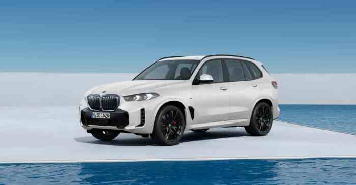 2025 Bmw X5 50e Issues - Zara Maris 2025 Bmw X5 50e Issues - Zara Maris